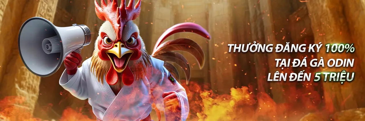 Hình ảnh minh họa chính sách cookie và bảo mật dữ liệu soi keo m88